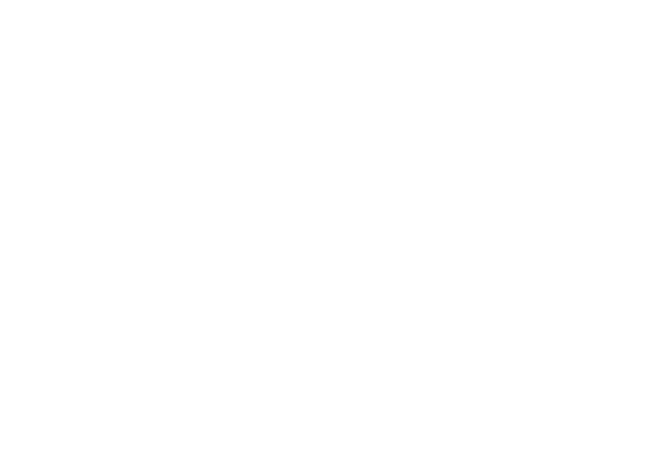 Pwm Highspeed Override Block Icon